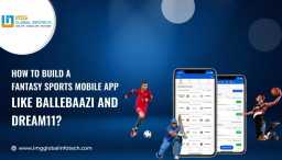 how-to-build-a-fantasy-sports-app-like-ballebaazi-and-dream11
