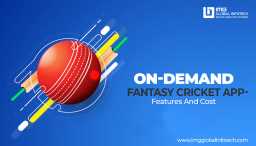 On-Demand Fantasy Cricket app