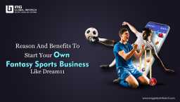 Fantasy Sports Business Like Dream11 