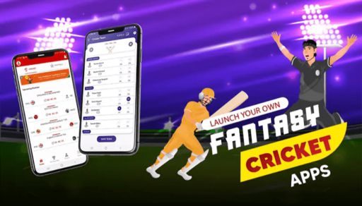 How to Develop Fantasy Sports Website and App like Dream11?